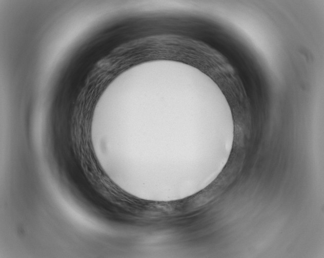 X0000110770765200907271204