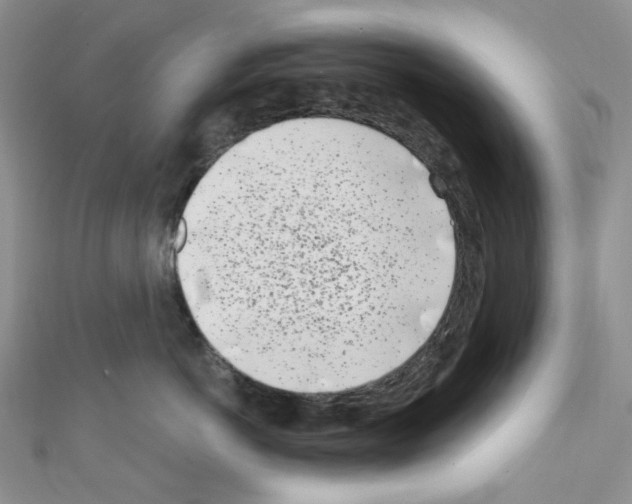 X0000110770766200907271204