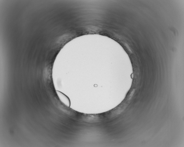 X0000110770768200907271204