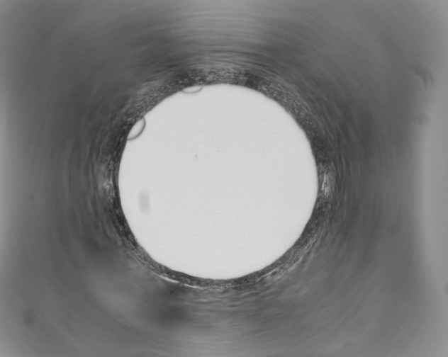 X0000110770771200907271203