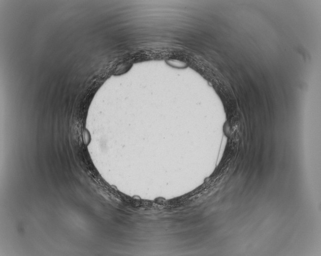 X0000110770772200907271203