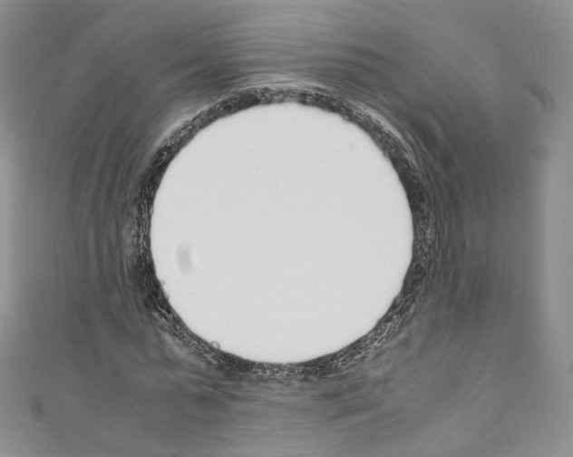 X0000110770775200907271203