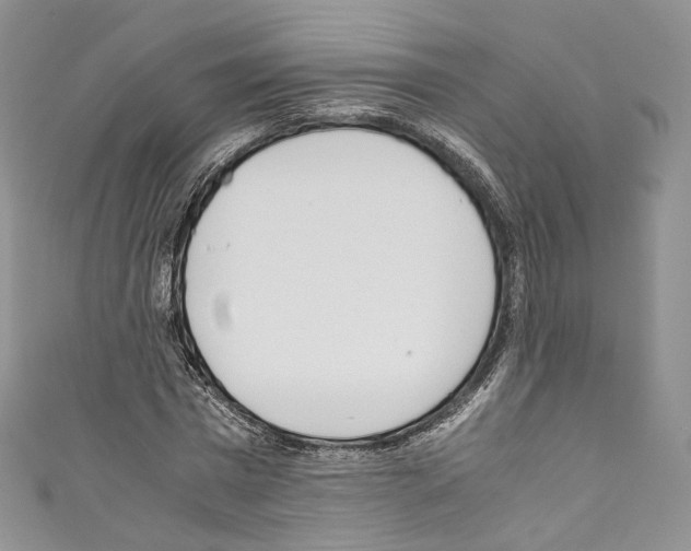 X0000110770777200907271203