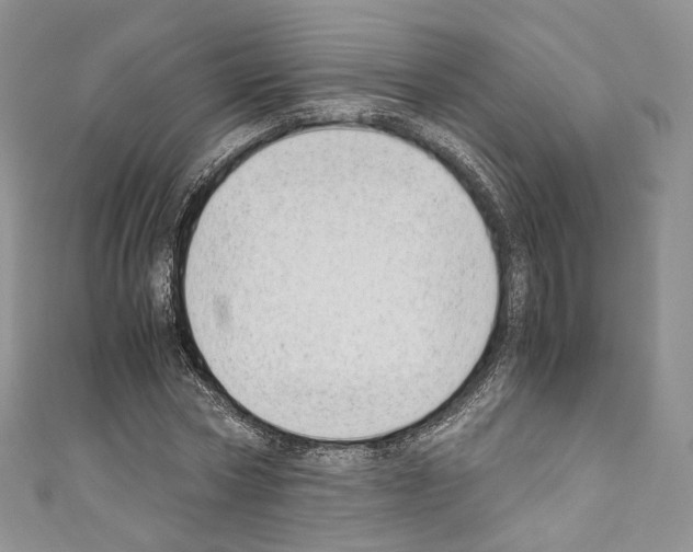 X0000110770778200907271203