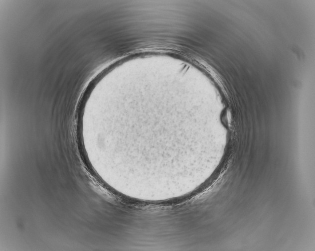 X0000110770779200907271203