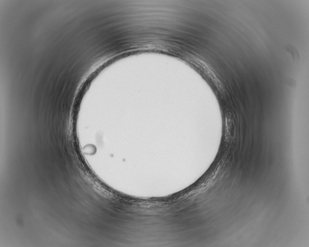 X0000110770780200907271203