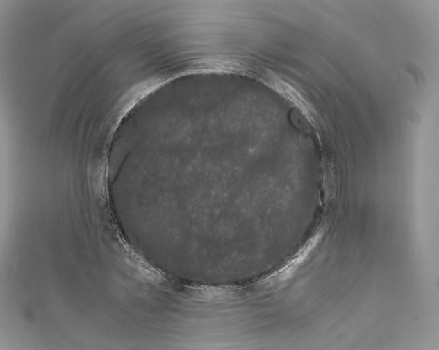 X0000110770781200907271203