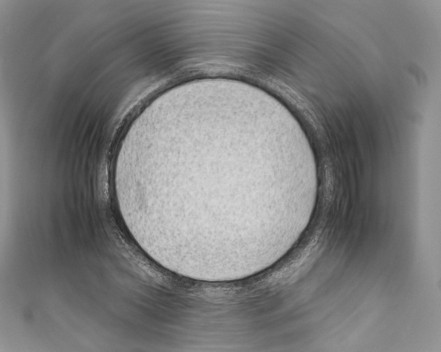 X0000110770782200907271203