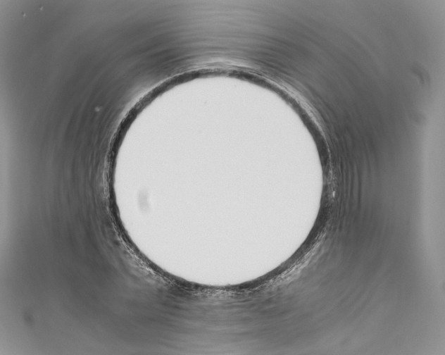 X0000110770783200907271203