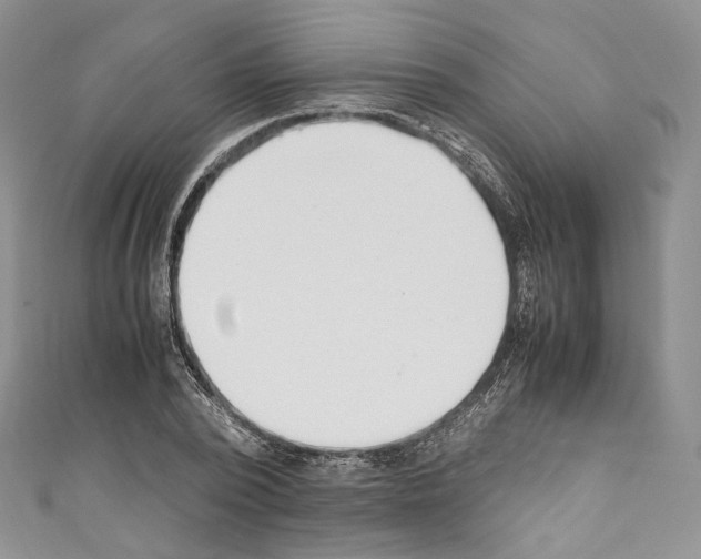 X0000110770784200907271203