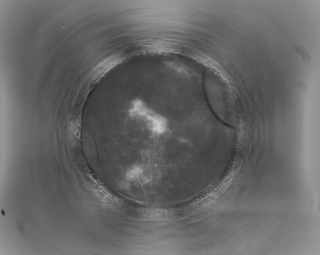 X0000110770785200907271203