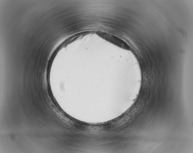 X0000110770788200907271203