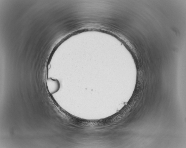 X0000110770791200907271203