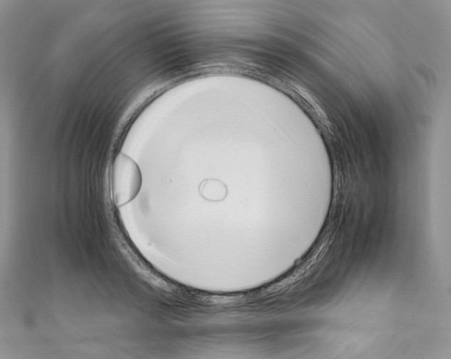 X0000110770796200907271203