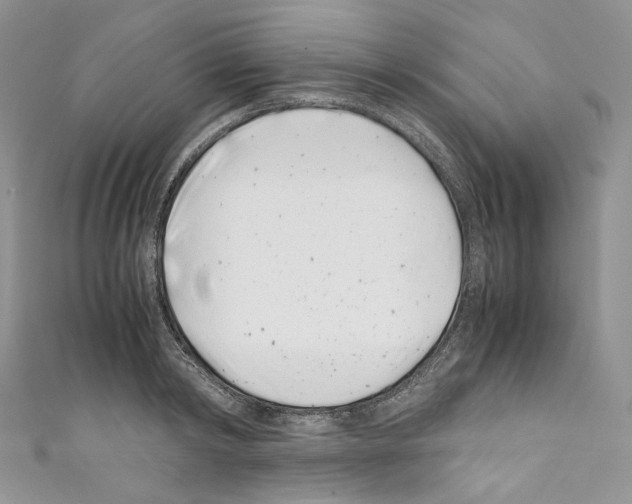 X0000110770798200907271203