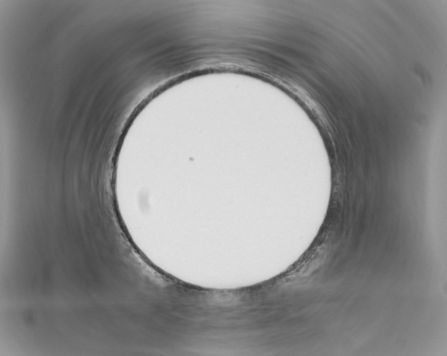 X0000110770799200907271203