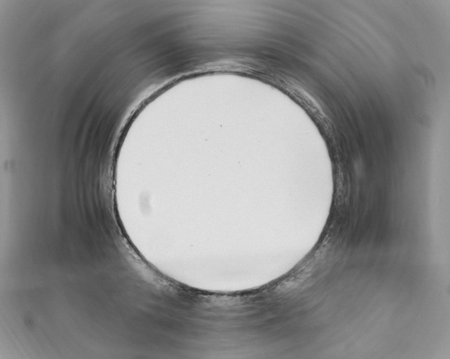 X0000110770800200907271203