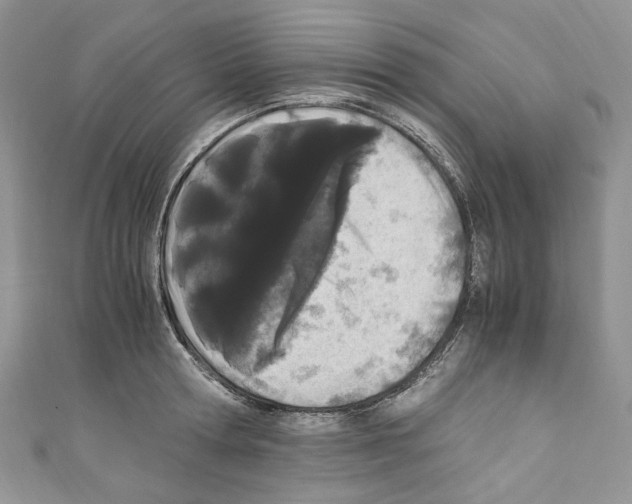 X0000110770802200907271203