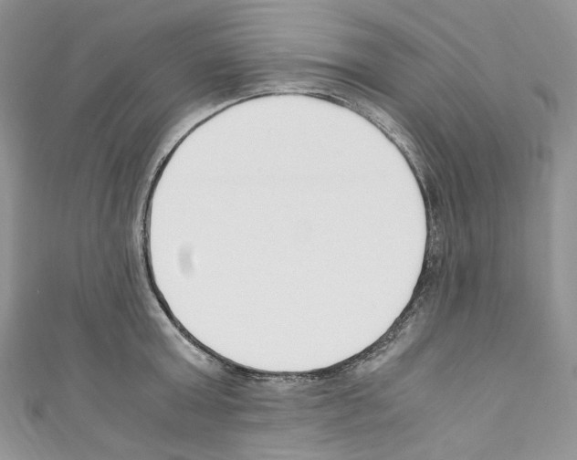 X0000110770803200907271203