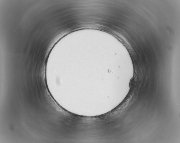 X0000110770804200907271203