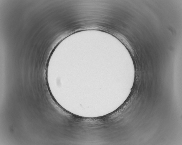 X0000110770805200907271203