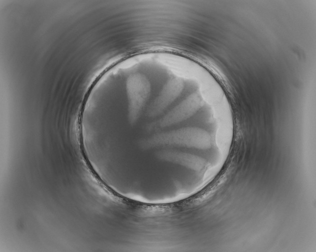 X0000110770806200907271203