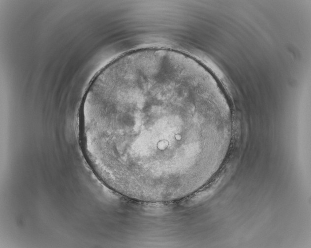 X0000110770807200907271203