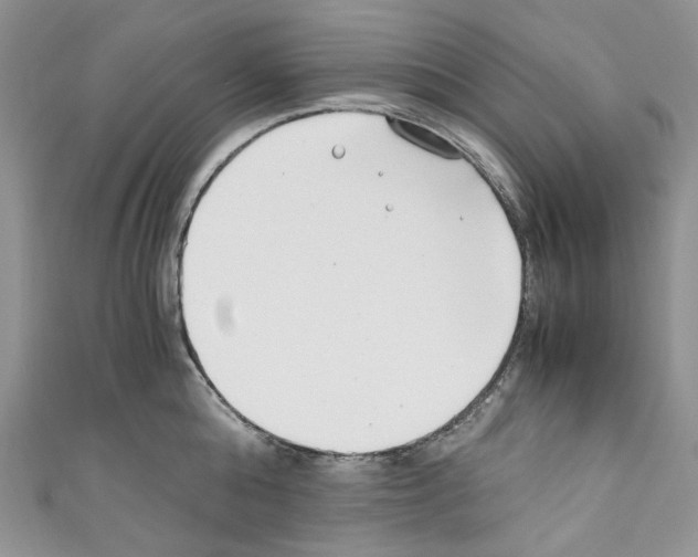 X0000110770808200907271203