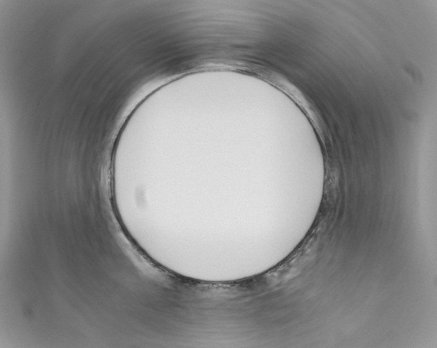 X0000110770811200907271203