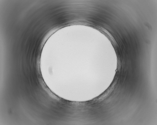 X0000110770812200907271203