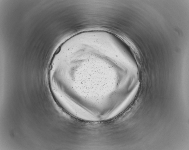 X0000110770813200907271203