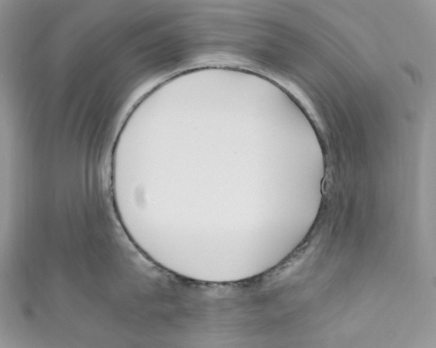 X0000110770815200907271203