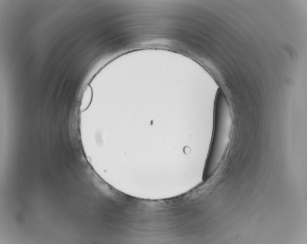 X0000110770816200907271203