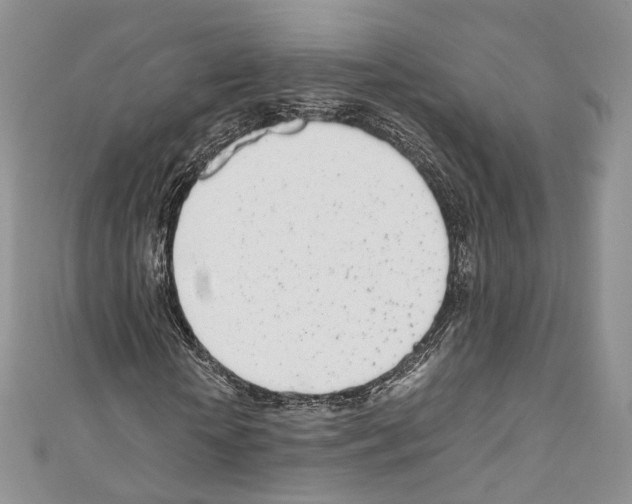 X0000110770818200907271202