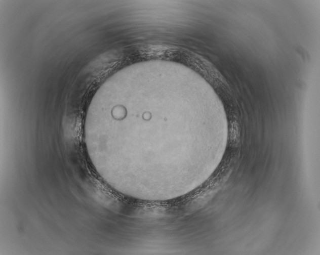 X0000110770820200907271202