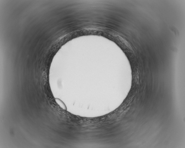 X0000110770821200907271202