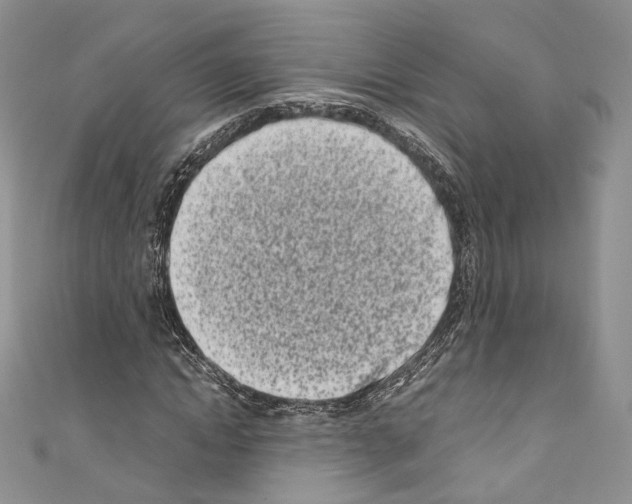 X0000110770822200907271202