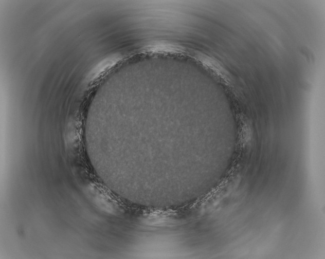 X0000110770824200907271202