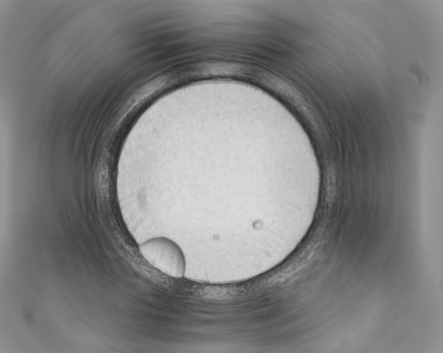 X0000110770827200907271202