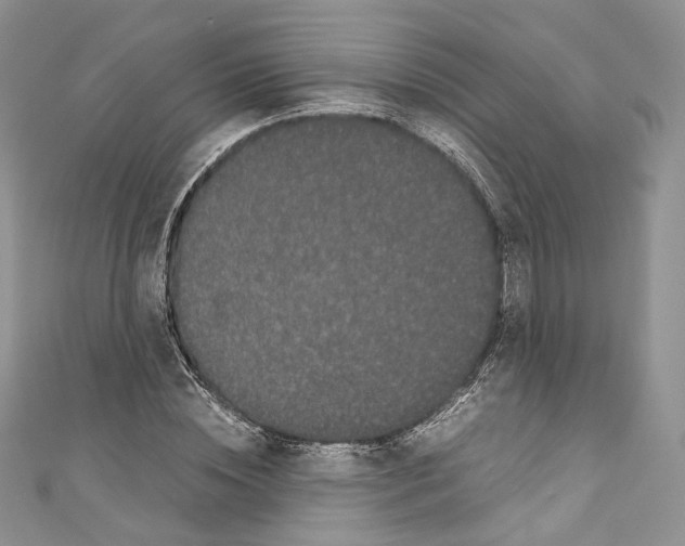 X0000110770828200907271202