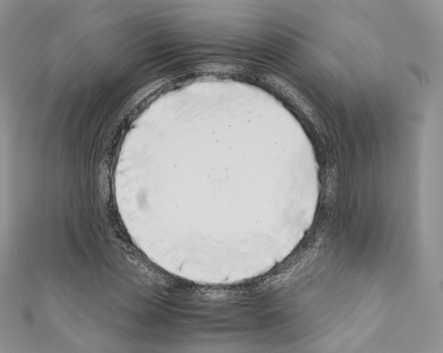 X0000110770829200907271202