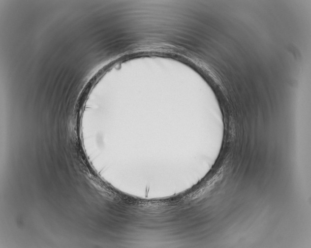 X0000110770830200907271202