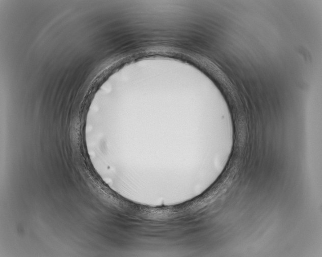 X0000110770831200907271202