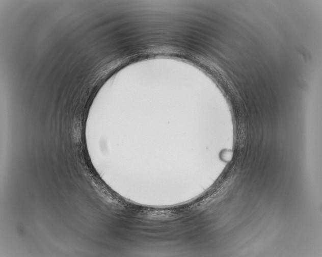 X0000110770833200907271202