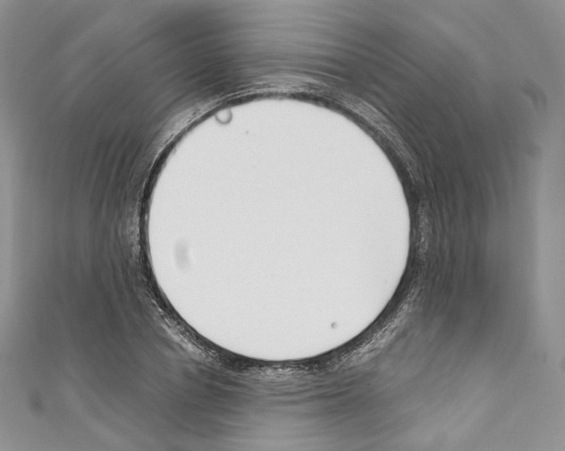 X0000110770834200907271202