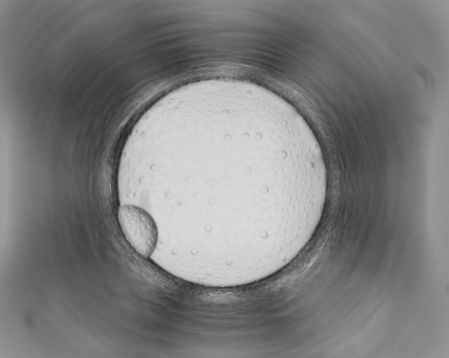 X0000110770835200907271202