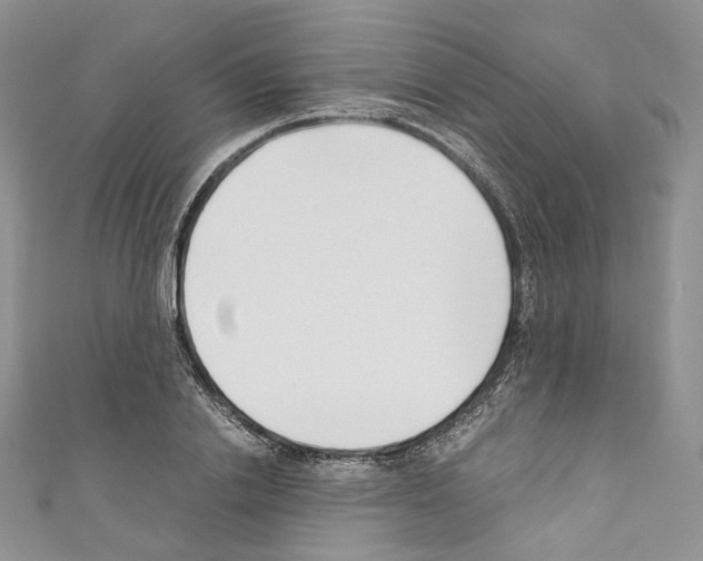 X0000110770838200907271202