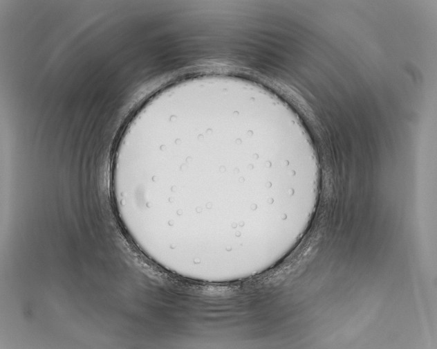 X0000110770839200907271202