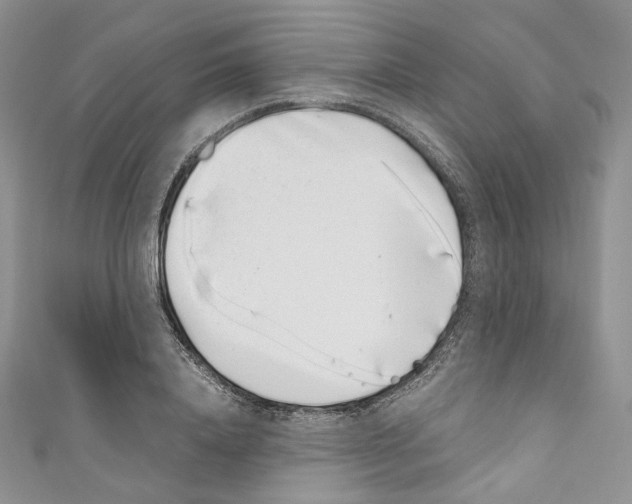 X0000110770840200907271202