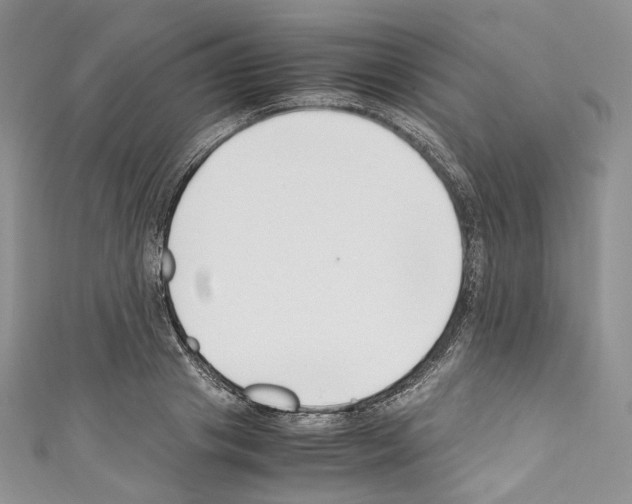 X0000110770841200907271202